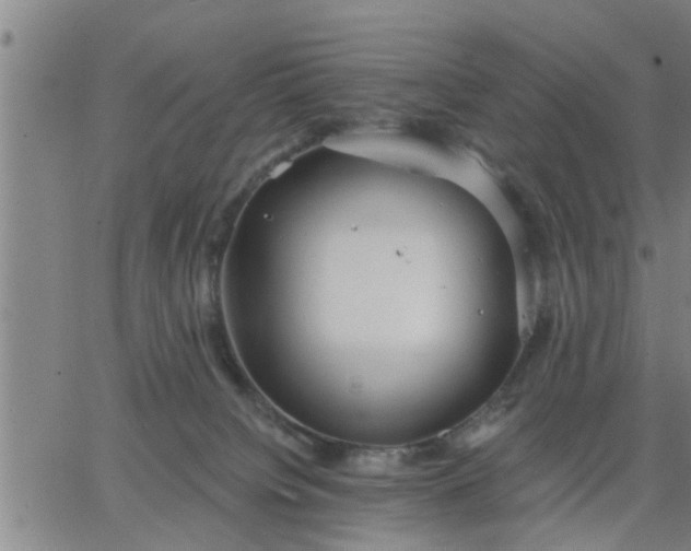 X0000063450084200601271550