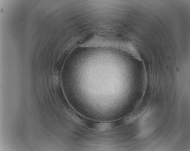 X0000063450085200601271550