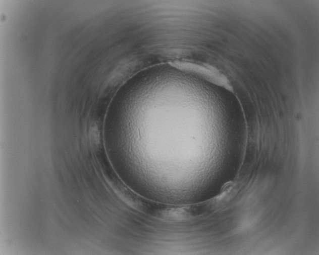 X0000063450086200601271550