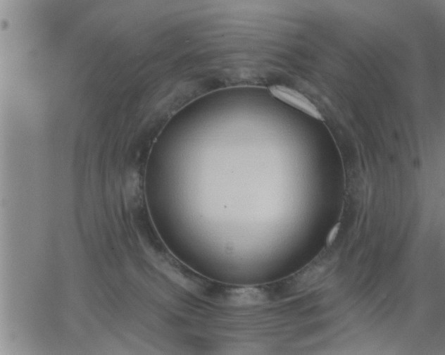 X0000063450087200601271550