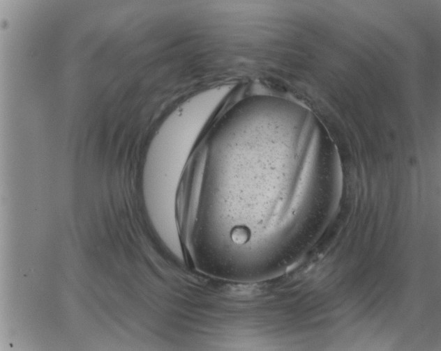 X0000063450088200601271550