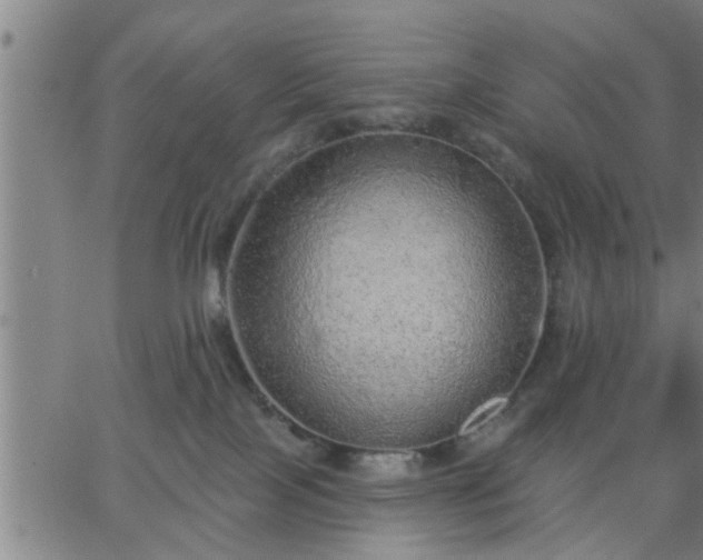 X0000063450089200601271550