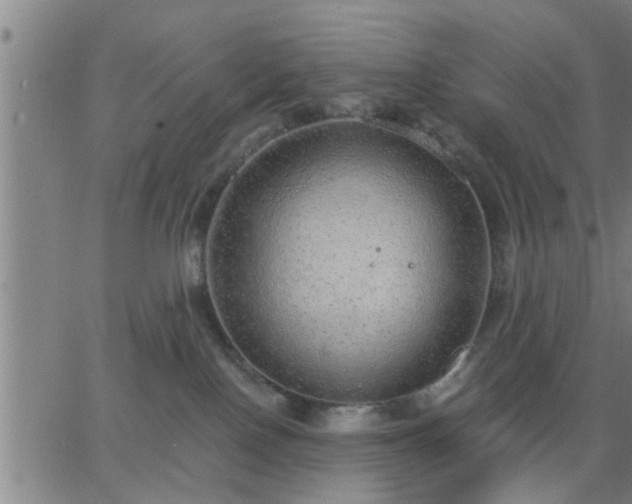 X0000063450090200601271550