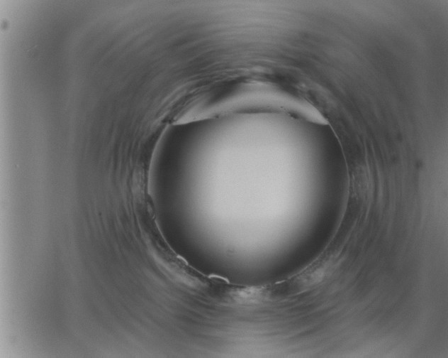 X0000063450092200601271550