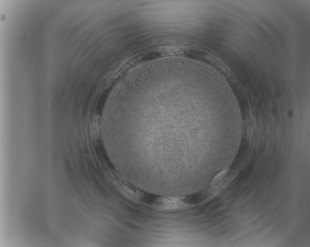 X0000063450093200601271550