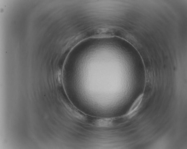 X0000063450094200601271550