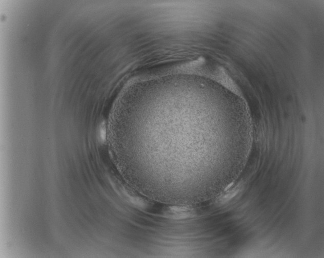 X0000063450095200601271550