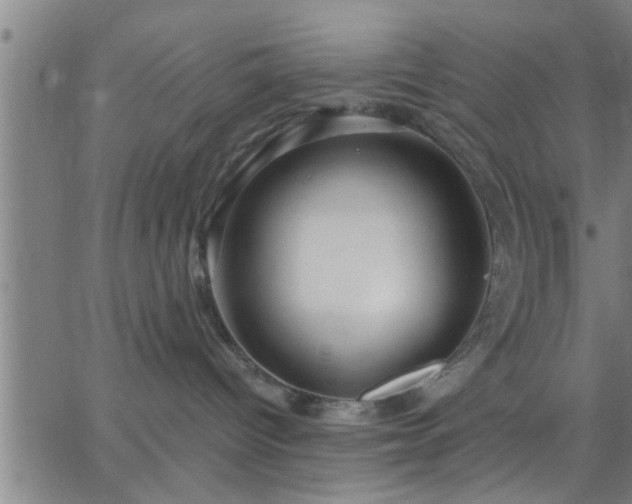 X0000063450096200601271550