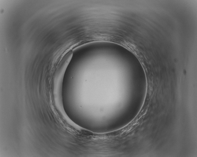 X0000063450097200601271549