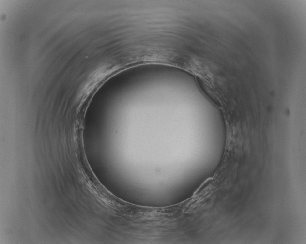 X0000063450098200601271549