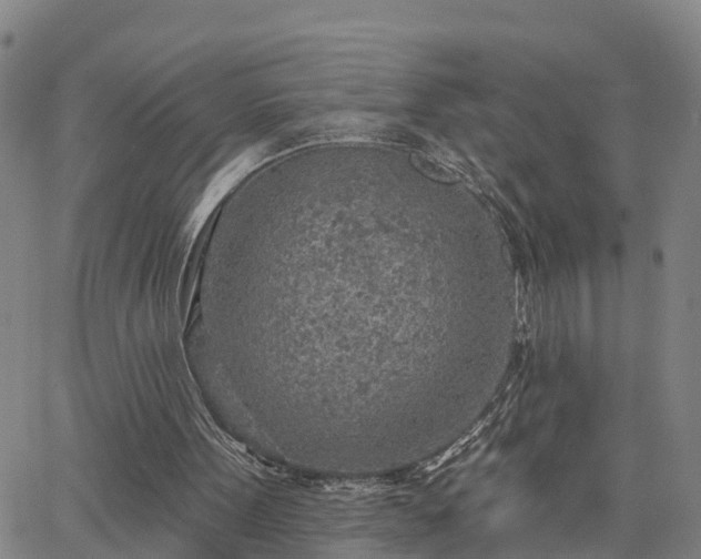 X0000063450099200601271549