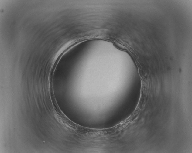 X0000063450100200601271549