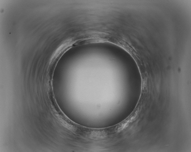 X0000063450101200601271549