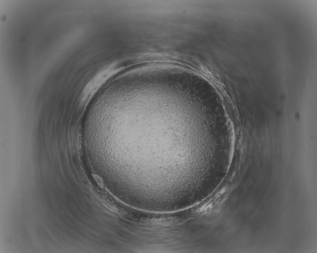 X0000063450103200601271549