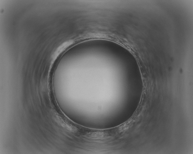 X0000063450104200601271549