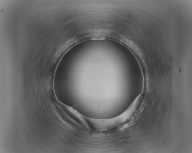 X0000063450105200601271549