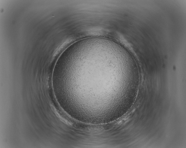 X0000063450106200601271549