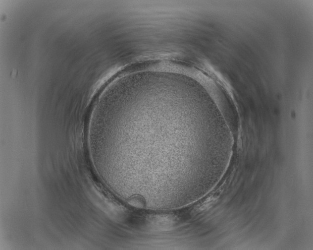 X0000063450107200601271549