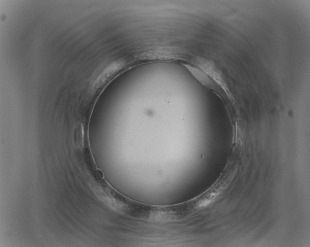 X0000063450109200601271549