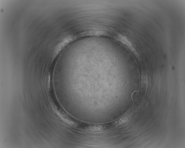 X0000063450110200601271549