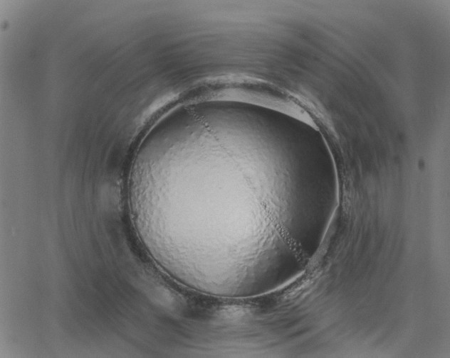 X0000063450111200601271549