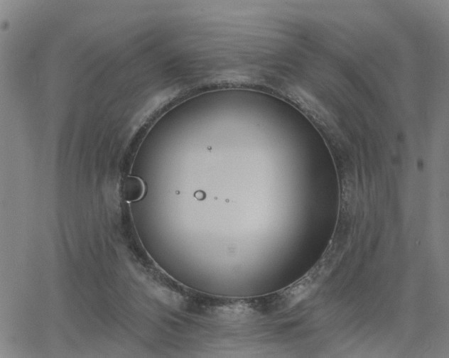 X0000063450112200601271549