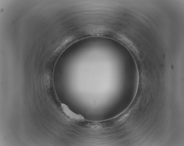 X0000063450113200601271549