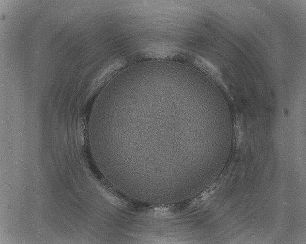 X0000063450114200601271549