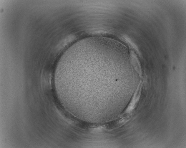 X0000063450115200601271549