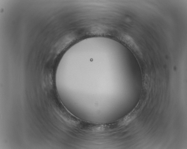 X0000063450116200601271549