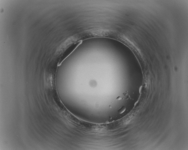 X0000063450117200601271549