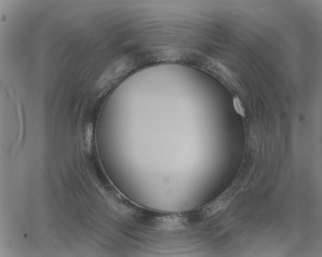 X0000063450118200601271549