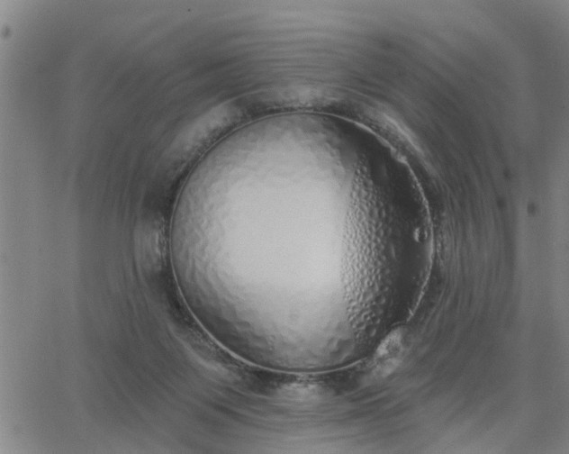 X0000063450119200601271549