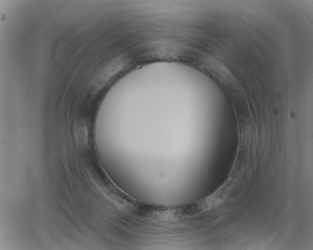 X0000063450120200601271549