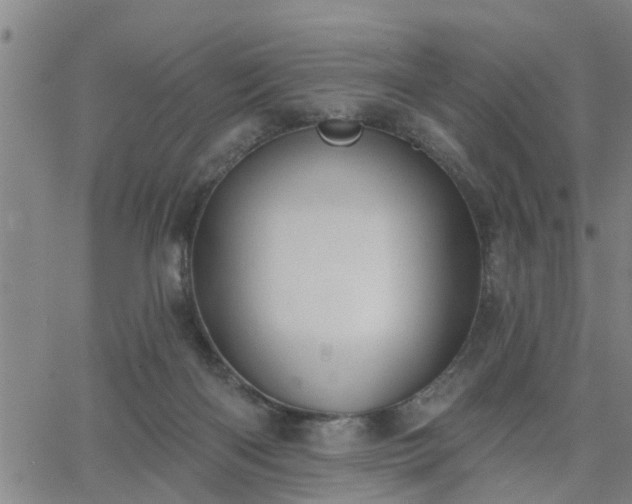 X0000063450122200601271549