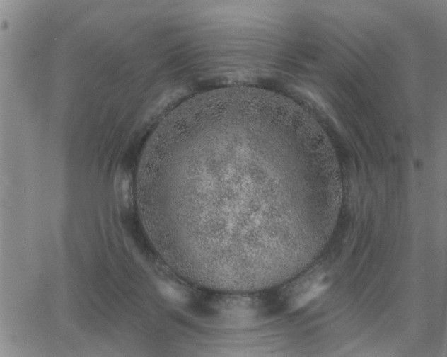 X0000063450123200601271549