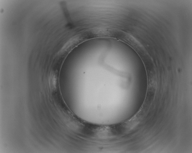 X0000063450124200601271549