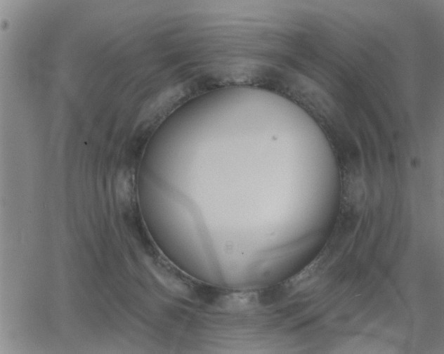 X0000063450126200601271549