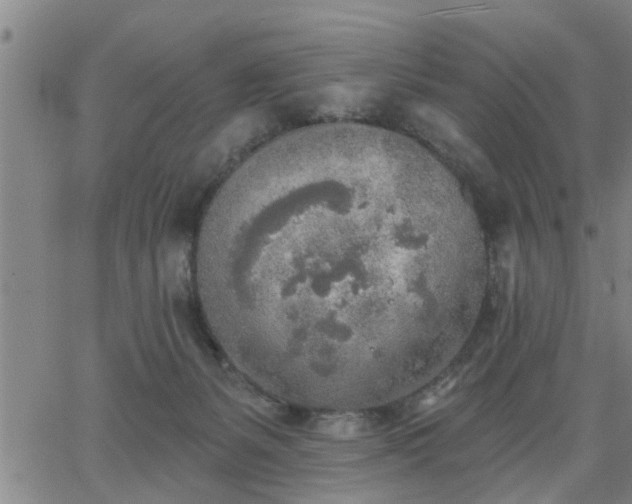 X0000063450127200601271549