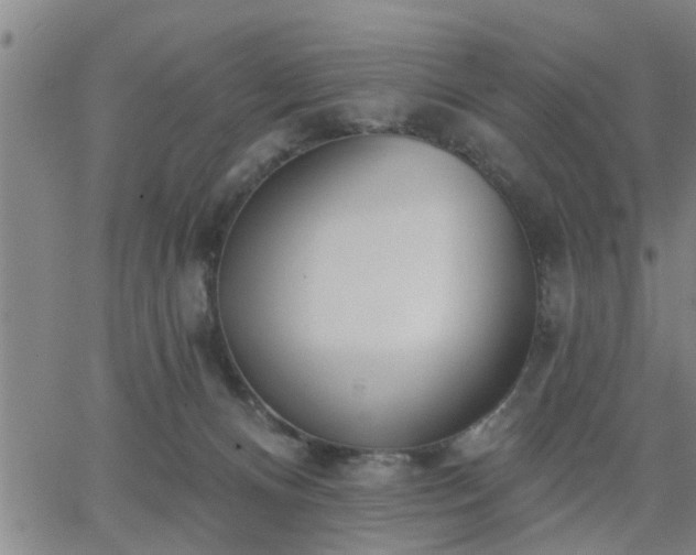 X0000063450128200601271549