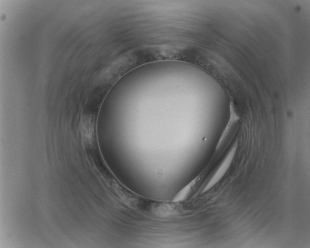 X0000063450129200601271549