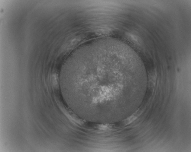 X0000063450130200601271549