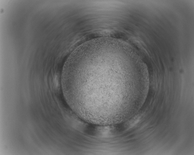 X0000063450131200601271548