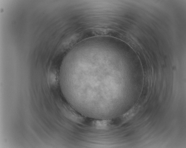 X0000063450134200601271548