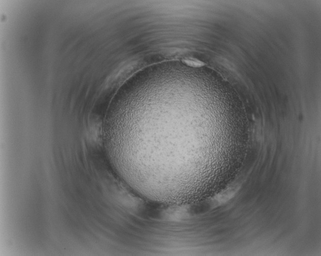 X0000063450138200601271548