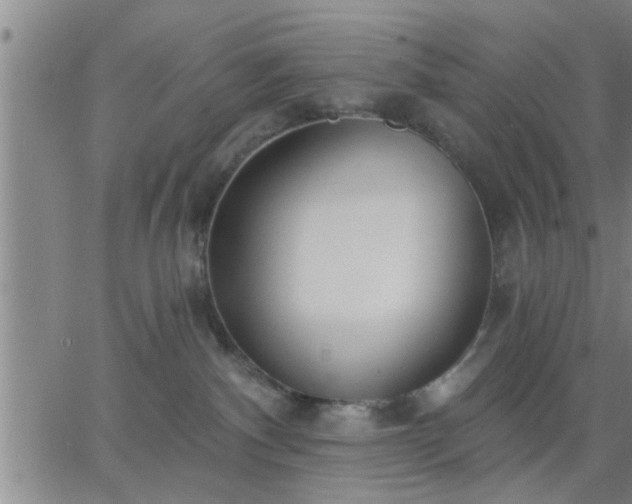 X0000063450140200601271548