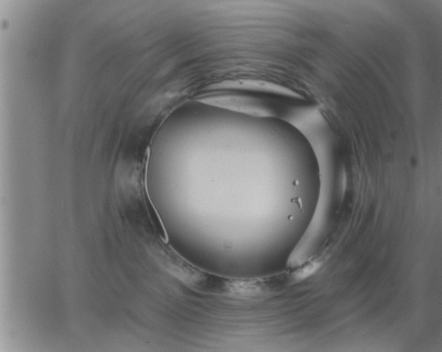 X0000063450141200601271548