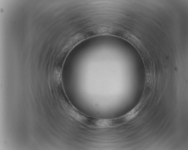 X0000063450142200601271548