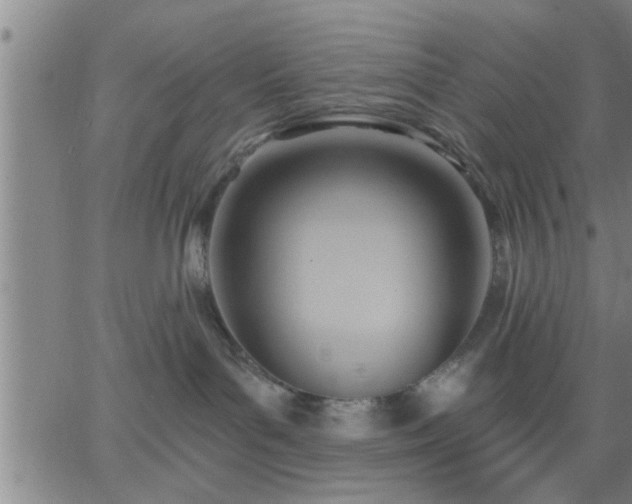 X0000063450143200601271548