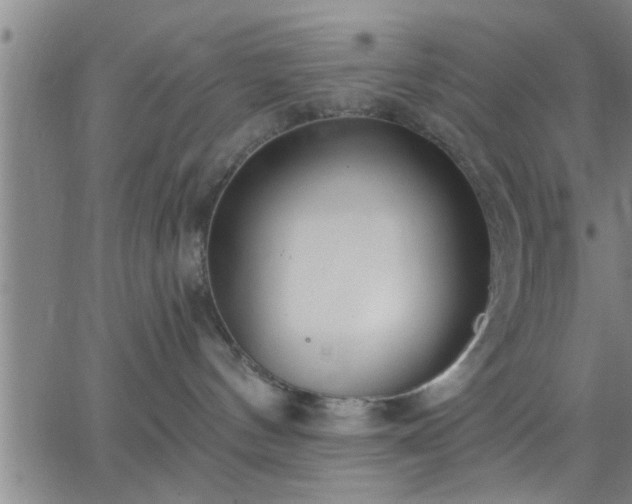 X0000063450144200601271548